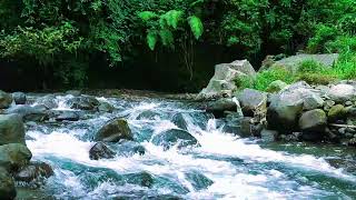 Heavy Rushing Water Sounds | Fall Asleep Fast & Calm Your Mind