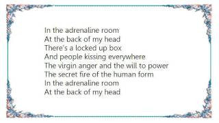 IAMX - The Adrenalin Room Lyrics