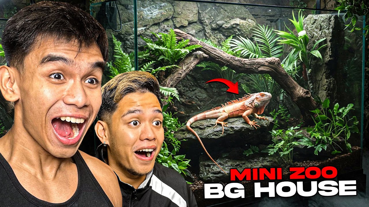 Gumawa ng MINI ZOO sa BG HOUSE - May Dragon