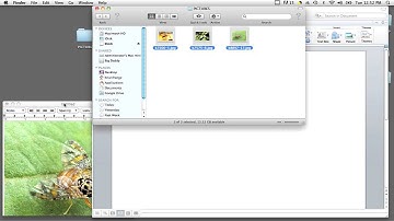 How to Select Multiple Pictures for a Document : Computer Basics