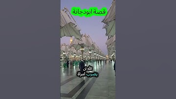 #قصة #صلي_على_رسول_الله #دعاء #أذكار #قرآن #ألإسلام #صباحيات #الرحمن #مسائيات #المصحف #الأنبياء