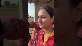🧅 आज हमने 100 बोरी प्याज भर लिया हैं 🤗