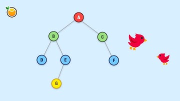 Binary Trees: A Data Structure Deep Dive! 🏕️