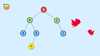 Binary Trees: A Data Structure Deep Dive! 🏕️
