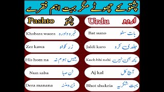 Pashto basic phrases for beginners | daily routine sentences in pashto | learn basic pashto in urdu screenshot 3