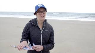 How can we solve the ocean plastic crisis?