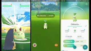 Roślinny starter z Johto. Chikorita Solo Raid Pokemon GO