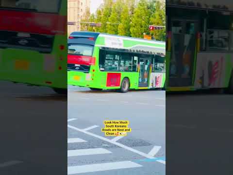 Look How Much South Koreans Roads are Neat and Clean 🇰🇷🥰🤍 #streetclean #viral #greenercities