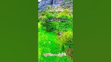 سورة الضحى مكيه ايايتها 11 ايه القارئ محمد الفقيه #قران_كريم #ارح_قلبك #اكسبلور