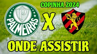 PALMEIRAS X SPORT COPINHA 2024 ONDE ASSISTIR ONDE VAI PASSAR PALMEIRAS X SPORT TRANSMISSÃO 13/01