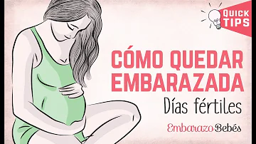 ¿Cuál es el periodo más fértil para quedarse embarazada?