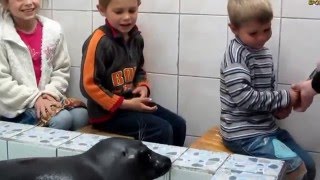 Семья Бровченко. Темин Д.р. - Поход в нерпинарий и поездка за подарком. (рел.) Семья Бровченко. Темин Д.р. - Поход в нерпинарий и поездка за подарком. (рел.)