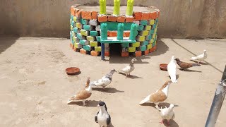 How to make a pigeon round house