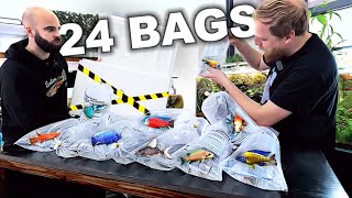 FIRST HUGE Fish Unboxing for NEW Aquariums!!