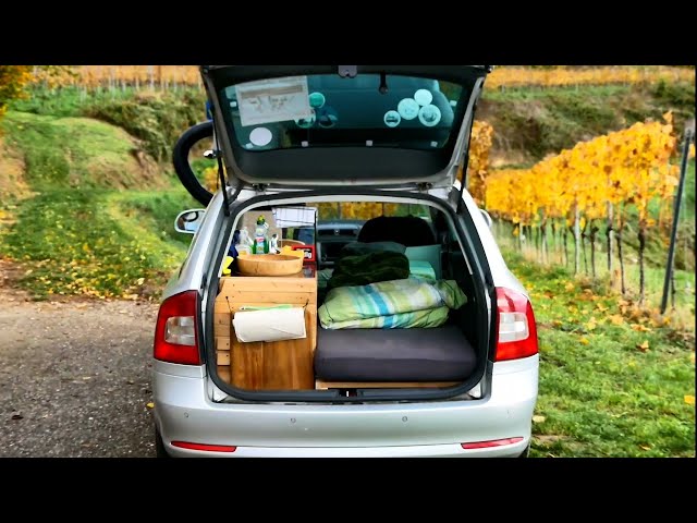 Micro Camper Roomtour (Skoda Octavia) 