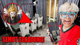 GAWAT! PASUKAN RATU SEMUT SEKADUNG KADING MENYERBU RUMAH BOCIL TERPANTAU DARI CCTV!