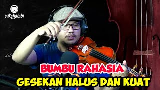 TIPS GESEKAN BIOLA MAKIN HALUS DAN POWERFUL