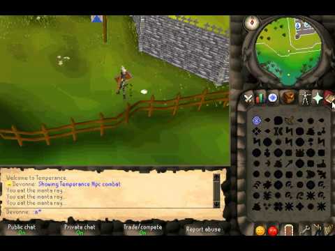 Temperance NPC Combat [RuneLocus 459 Project] - YouTube