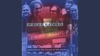 Video thumbnail of "The Blue Watusis - Chicago Breakdown"