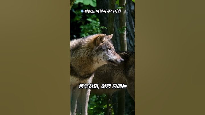 핀란드 여행시 주의사항
