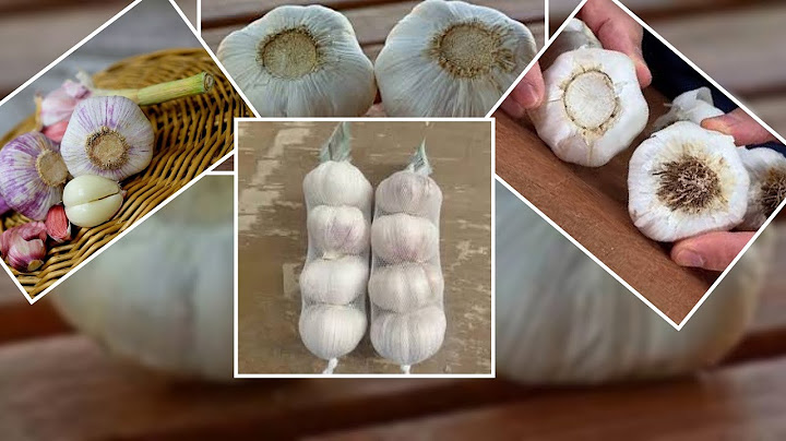 After this video, you will never buy Chinese garlic again, and here's how to recognize it