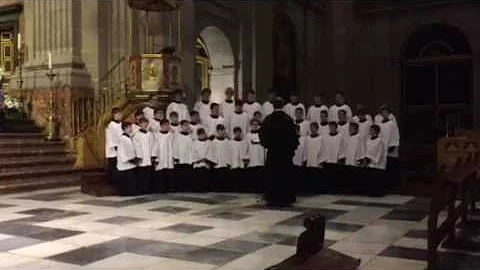 2016- salve Regina mayo 2016