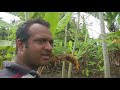 From Barren Land To A Fruit Forest - Abhay Farms | Farmizen On The Road - Episode 3