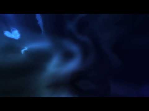 Anyma Adam Sellouk Girls M I A Unreleased Remake Edit