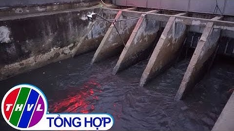 THVL | Biển Đà Nẵng lại hứng chịu nước thải đen ngòm sau trận "mưa vàng"