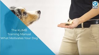 The KLIMB Training Manual - Section: What Motivates Your Dog