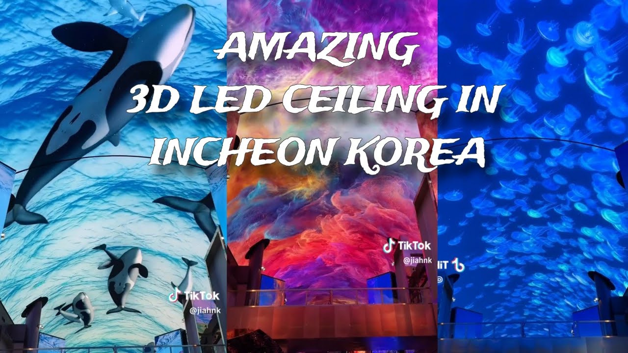 Amazing 3D LED Ceiling in Incheon Korea #3d #incheon #3dled #korea ...