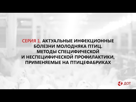 Видео: Вирусна инфекция на храносмилателния тракт при птици