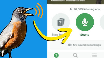 Identify Birds by Song with this FREE app! (Super Easy)
