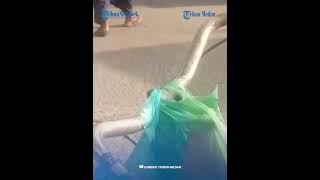 PUNYA ILMU KEBAL, Abang Adik di Langkat Bacok-bacokan Tak Luka