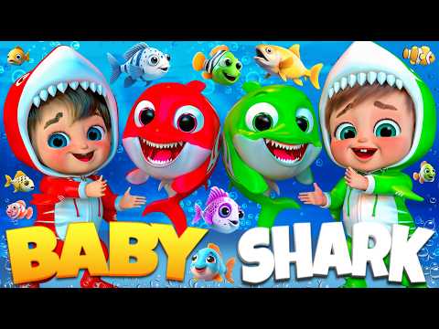 Baby Shark Goes to Shark School | Songs for Children | Bei Bei - Nursery Rhymes #babyshark