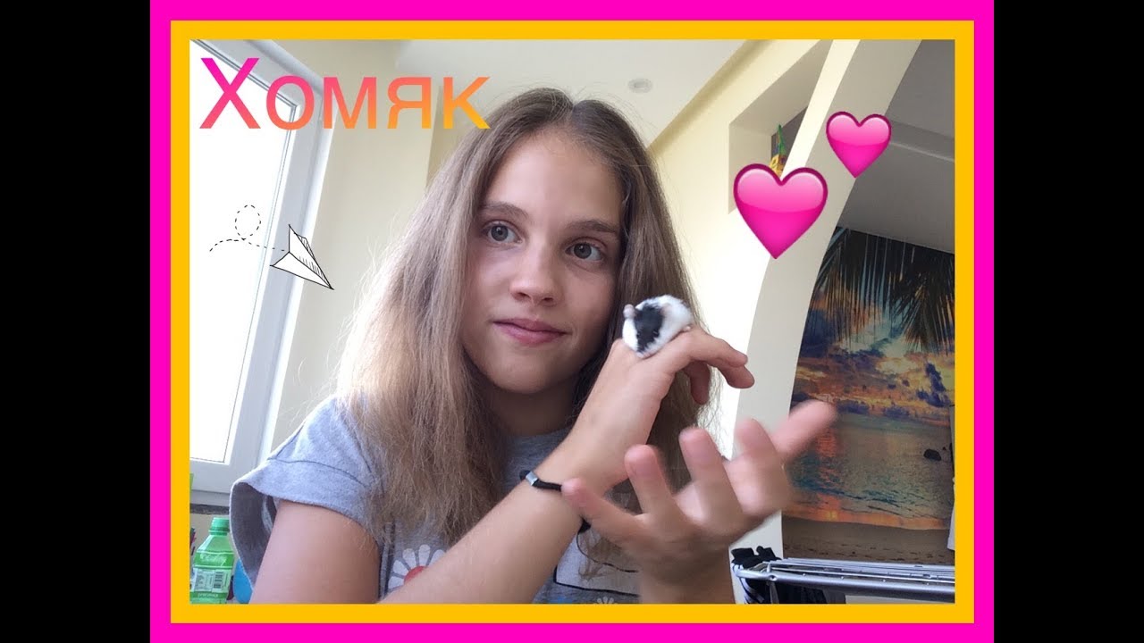 Мой новый питомец! Хомяк??? - YouTube