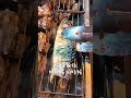 烤鯖魚的時候，應該魚皮朝上？魚皮朝下？＃海邊過日子＃鮮潮 ＃鮮浪＃挪威鯖魚片