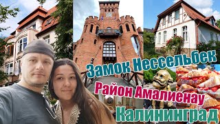 видео: КАЛИНИНГРАД | ЗАМОК НЕССЕЛЬБЕК | МУЗЕЙ ПЫТОК | БАШНЯ ДОНА | АМАЛИЕНАУ | МУЗЕЙ ЯНТАРЯ | ХОСТЕЛ ЛУИЗА картинка: КАЛИНИНГРАД | ЗАМОК НЕССЕЛЬБЕК | МУЗЕЙ ПЫТОК | БАШНЯ ДОНА | АМАЛИЕНАУ | МУЗЕЙ ЯНТАРЯ | ХОСТЕЛ ЛУИЗА