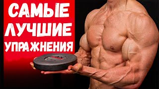 Самые лучшие упражнения на каждую группу мышц | Джефф Кавальер