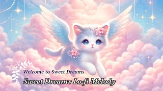 Dreaming Cat Lo-fi⭐️ / Dreaming Cat's Relaxation / [ดนตรีเพื่อการผ่อนคลายและการเรียน]