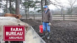 Update from the Farm | Jason Braziel, Cold Weather Challenges