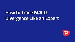 How to Trade MACD Divergence Like an Expert