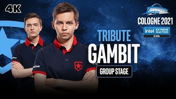 [4K] GAMBIT IEM COLOGNE 2021 🔥 Hobbit INSANE MODE POV ACTION (gambit vs G2 + NIP + mousesports)