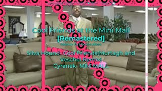 Cool Friends At The Mini Mall Remastered | Mashup By Heckinlebork