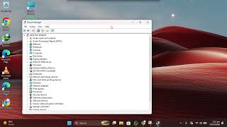 How to Update Display Driver in Windows 11 (Step-by-Step)