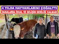 4 Yılda Hayvanlarını Çoğalttı |  Danalarda İshal ve Gelişim Geriliği Kalmadı