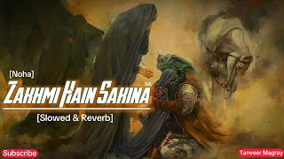 Zakhmi Hain Sakina || Slowed and Reverb Noha || Farhan Ali  || Subscribe - Tanveer Magray
