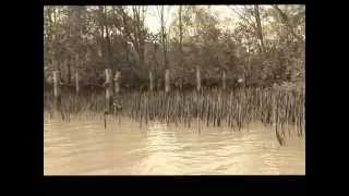 Kg Rangau dalam kenangan