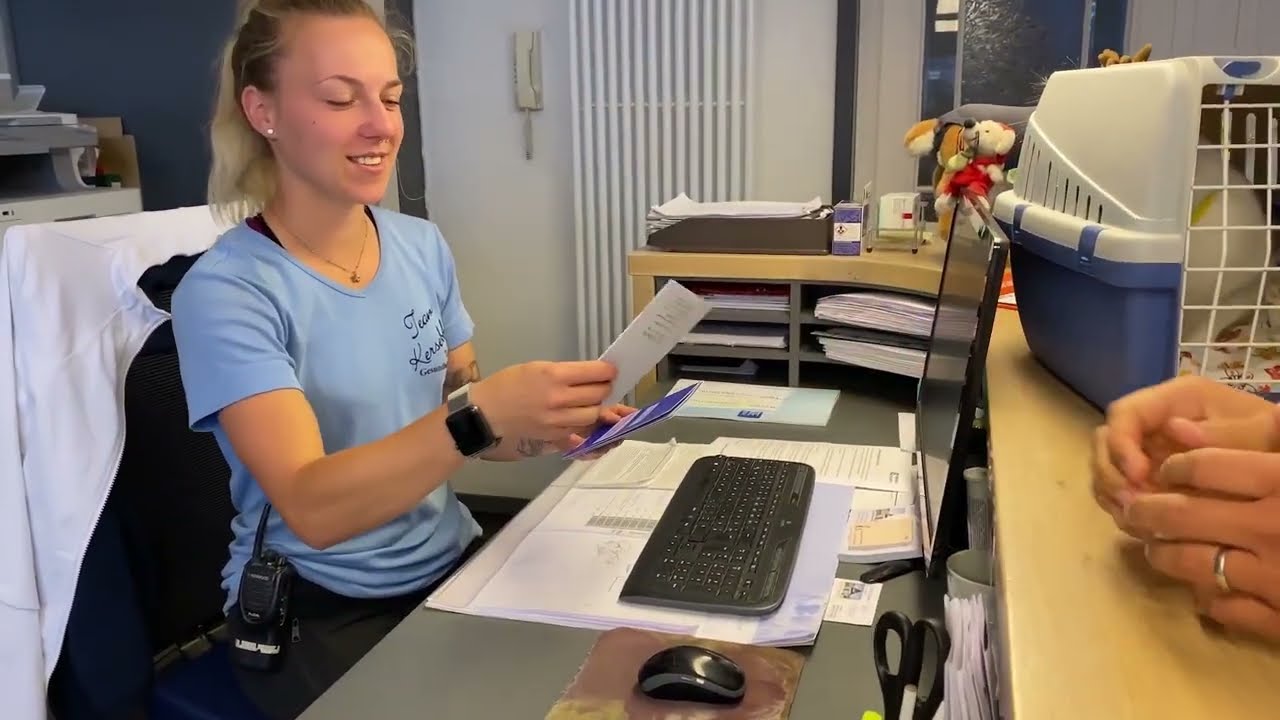 Urlaub im Katzenhaus der Tierpension Kersebohm - Entspannung und Wellness für Katzen