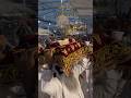 Sukh Asan Sri Guru Granth Sahib Amritsar || sgpc live || #amritsar #kirtan #sukhasan